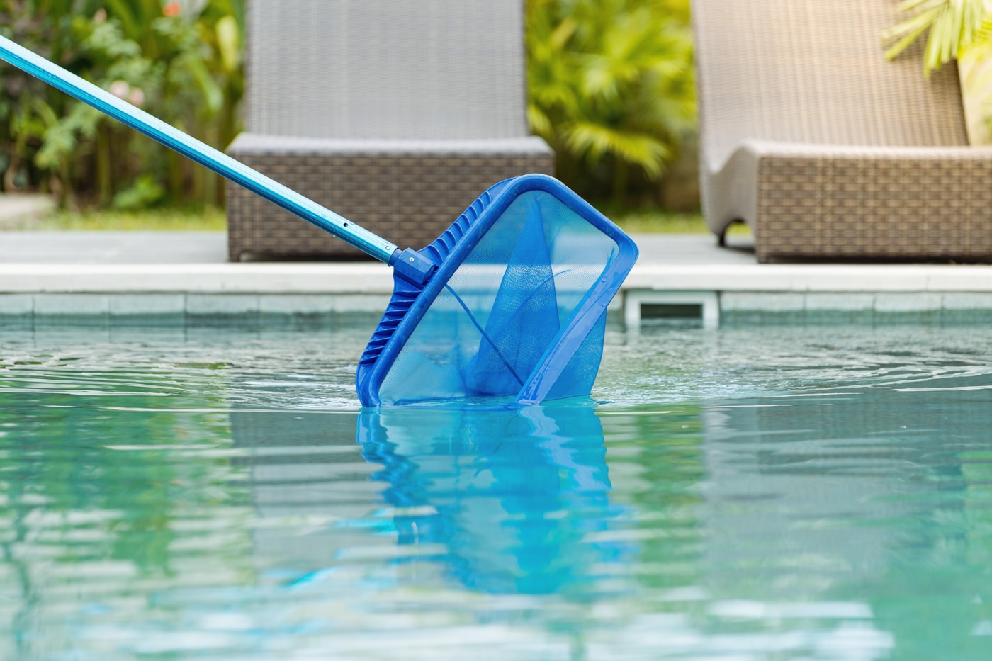 Skimmer net resting in a clean pool during weekly service